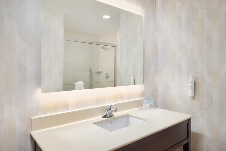 Bathroom 4, Hampton Inn Chattanooga West/Lookout Mountain, Hamilton
