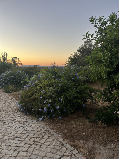 Garden 5, Casa no Limoeiro, Stylish Retreat, Loulé