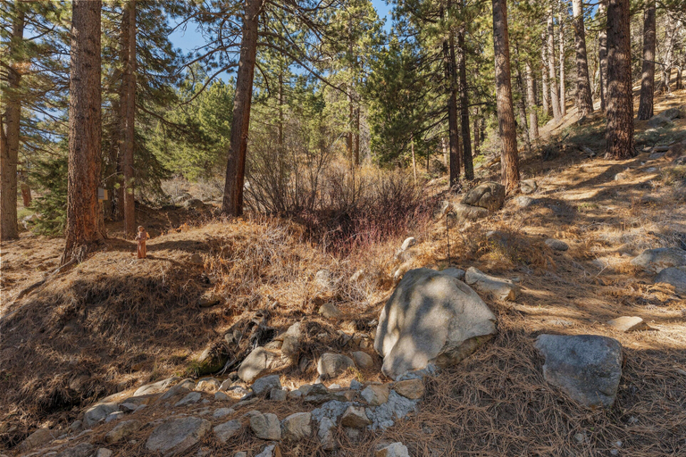 Miscellaneous, Eads by the Lake, San Bernardino