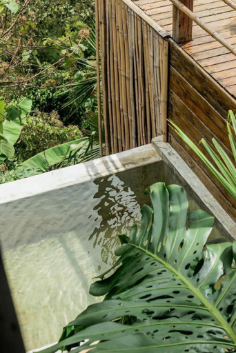 Sport & Beauty 2, ATTRAVERSIAMO BAMBOO HOUSE, Manizales