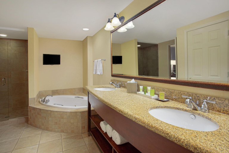Bathroom 4, Hilton Jackson, Madison