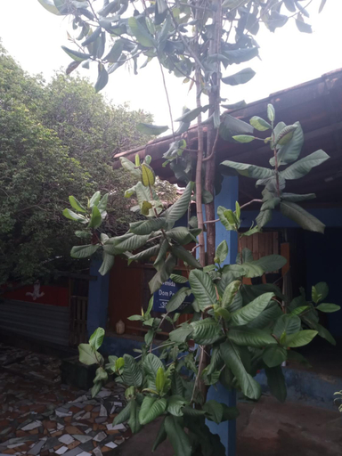 Others 4, Hostel jabuticaba, Belo Horizonte