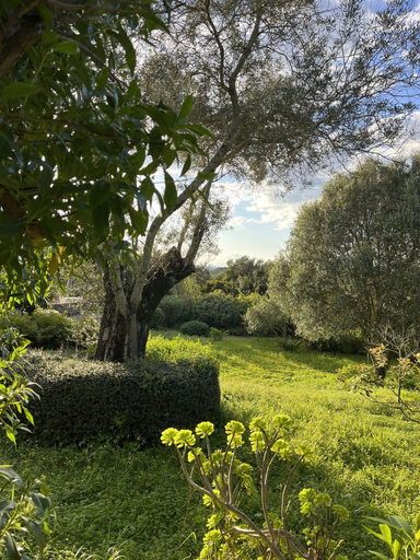 Garden 4, Casa no Limoeiro, Stylish Retreat, Loulé