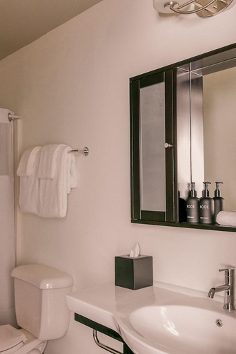 Bathroom 4, Hotel Clemons, Hamilton