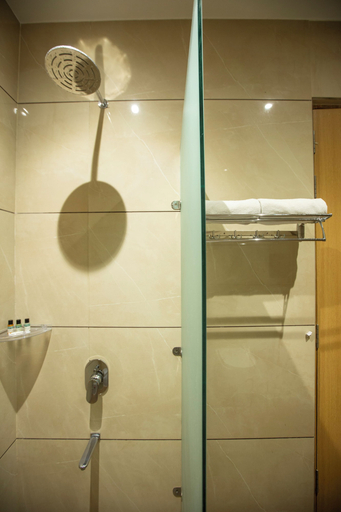 Bathroom 4, Hotel Grace, Delhi