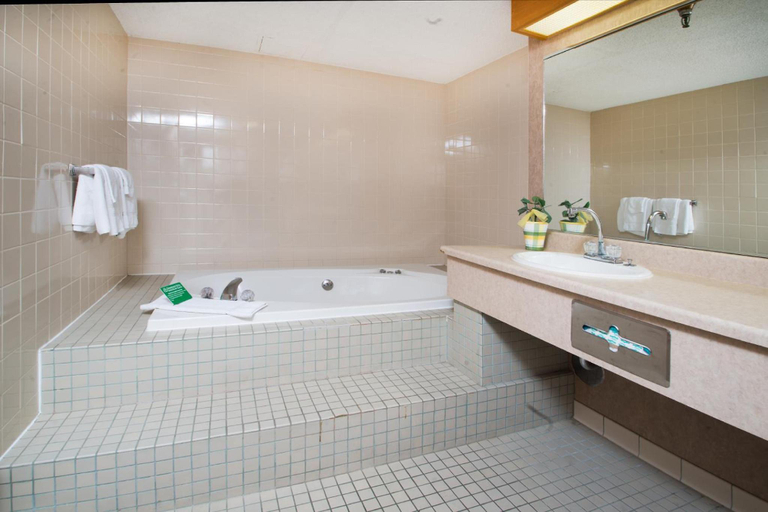 Bathroom 5, Crossroads Hotel at Huron Event Center, Beadle
