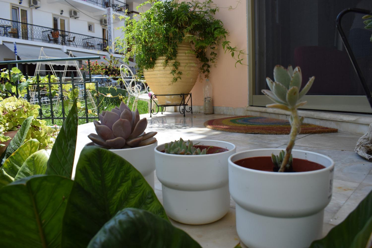 Others 4, Ilian House, Epirus