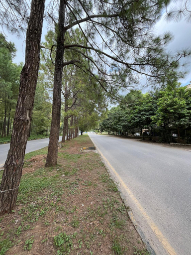Others 4, Durrani Lodges - Islamabad G11, Islamabad