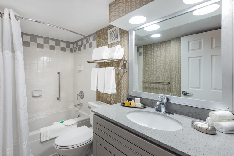 Bathroom 4, Americus Hotel, Unscripted by Hyatt, Lehigh