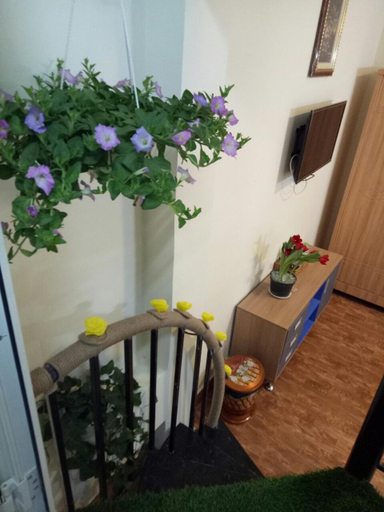 Others 4, Anh Đao Dalat House, Đà Lạt