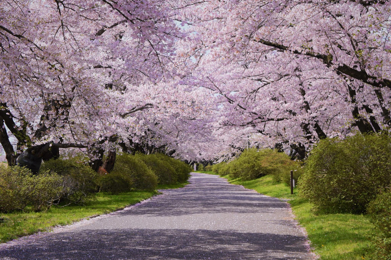 Nearby attraction 4, Dream Village Enshin, Kitakami