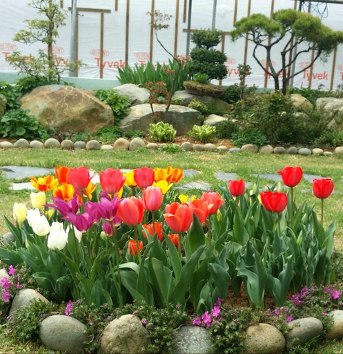 Others 2, yeosu jeongweoniyebbeundogcae pensyeon, Yeosu
