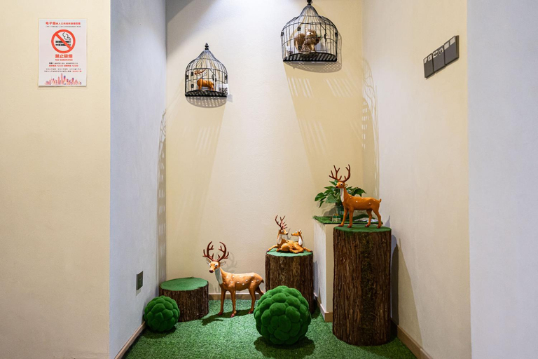 Public Area 3, Beehome Hostel, Shanghai
