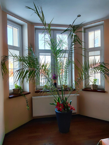 Others 5, Mlyn Warminski -Hotelik Hermes, Braniewo