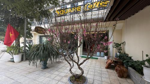 Others 3, square Homestay & coffee, Bắc Hà