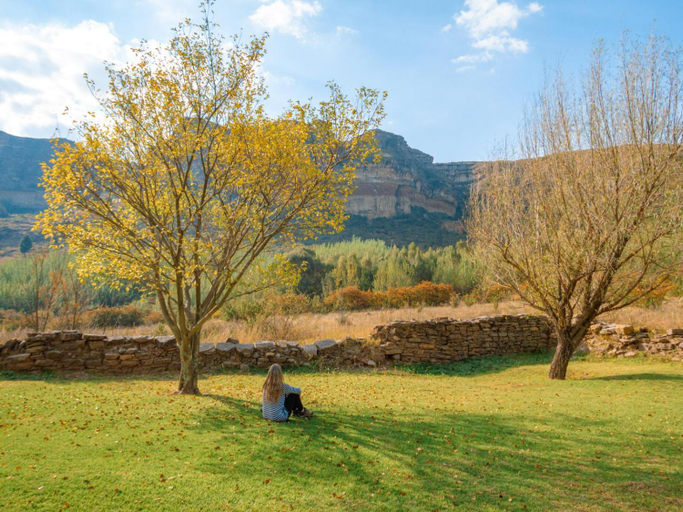 Others 5, Camelroc Guest Farm, Thabo Mofutsanyane