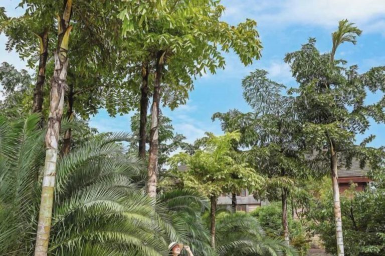 Miscellaneous 3, Lutang Hot Spring Resort, Deyang