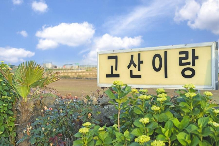 Others 4, Jeju gosanirang pension, Jeju