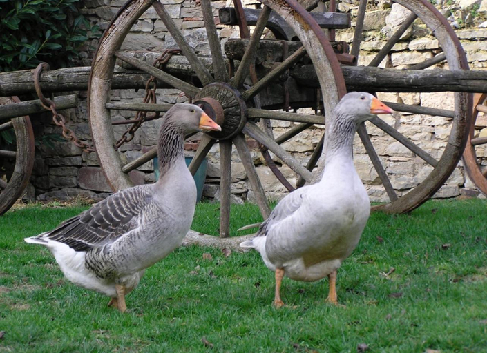3, La Ferme de Marie, Bas-Rhin
