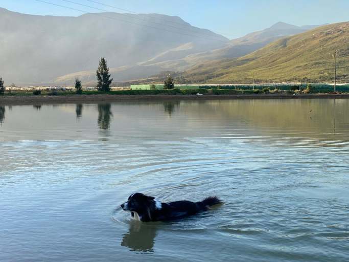 Others 5, Plumtree Farm, Overberg