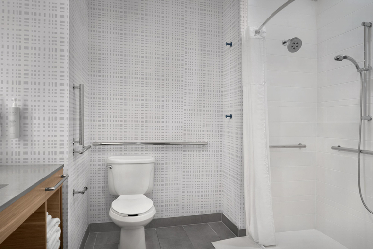 Bathroom 4, Hampton Inn & Suites Roswell, Chaves