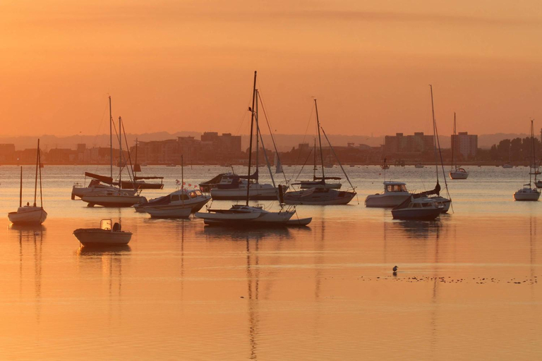 Others 5, Daintree - Bournemouth, Poole