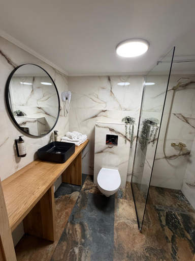Bathroom, Casa Gorjeana Complex Agroturistic, Pestisani