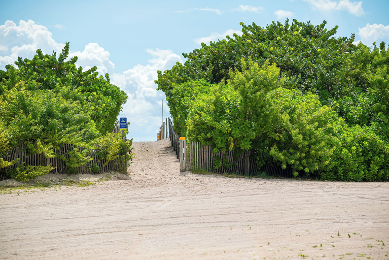 Primary image, The Netherland 2A, Miami-Dade
