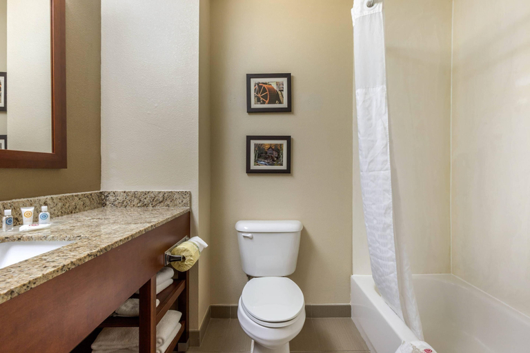 Bathroom 4, Comfort Suites Johnson City near University, Washington