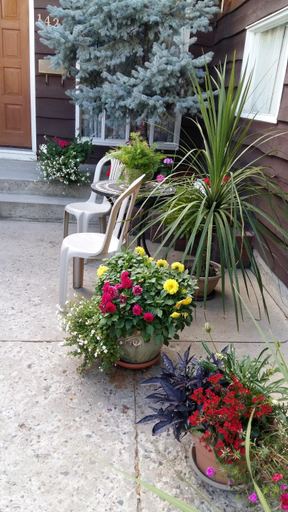 Others 5, Wild Rose Bed & Breakfast, Division No. 11