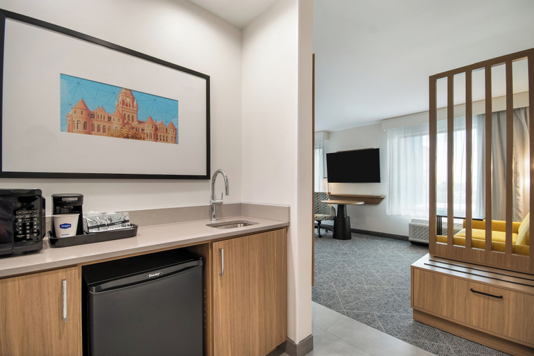 Room 5, Hampton Inn & Suites By Hilton Irving DFW Airport North, Irving