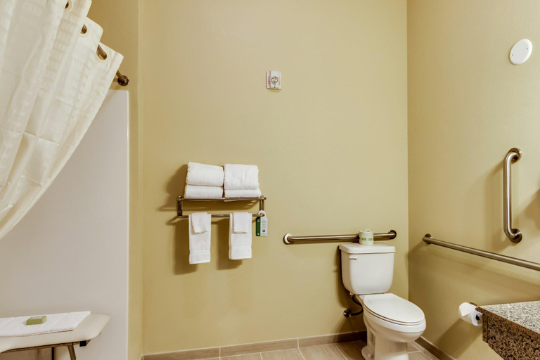 Bathroom 4, Cobblestone Inn & Suites - Waverly, Bremer