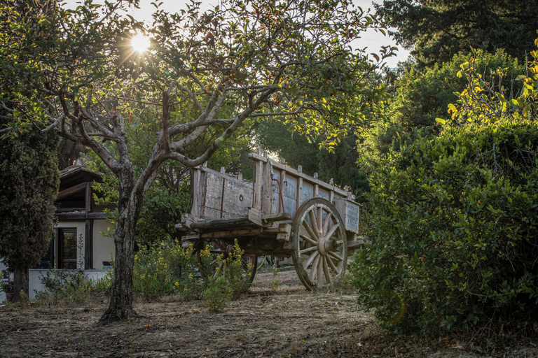 Miscellaneous 3, Agriresort Galenzana, Livorno