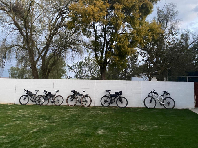 Others 3, Plumtree Farm, Overberg