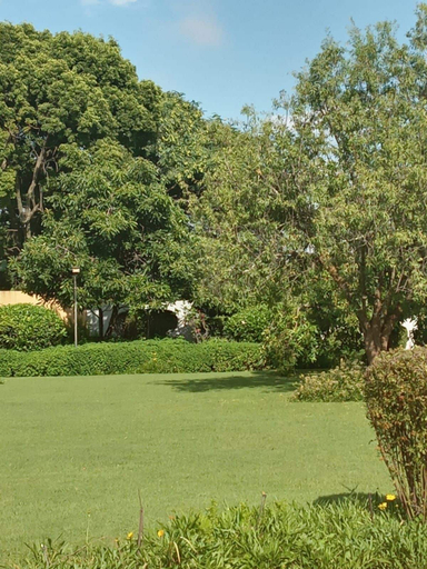 Property grounds, Park 801 Executive Suite, City of Johannesburg
