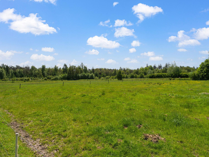Others 4, Cottage in Dwingelderveld with Scenic Views, Westerveld