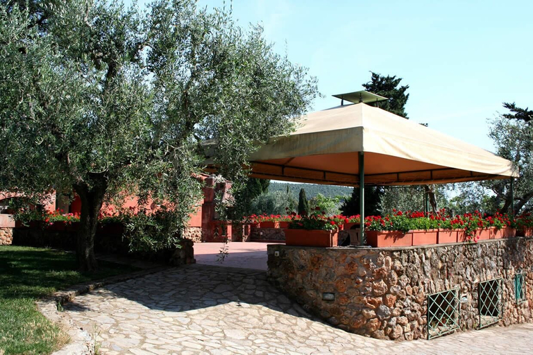 Rooftop terrace, Agriturismo Tenuta il Solengo, Grosseto
