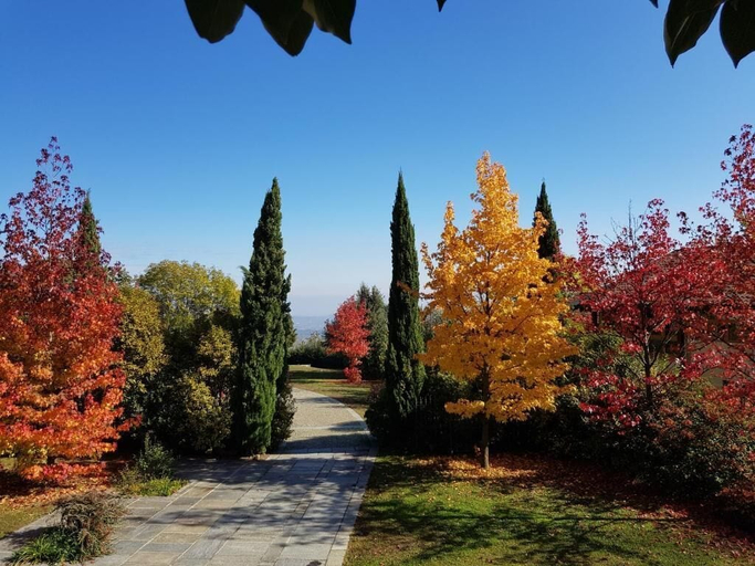 Garden view, CERTOSA1515, Torino