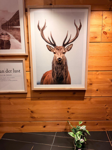 Others 4, Gastehaus Carpe Diem, Ortenaukreis