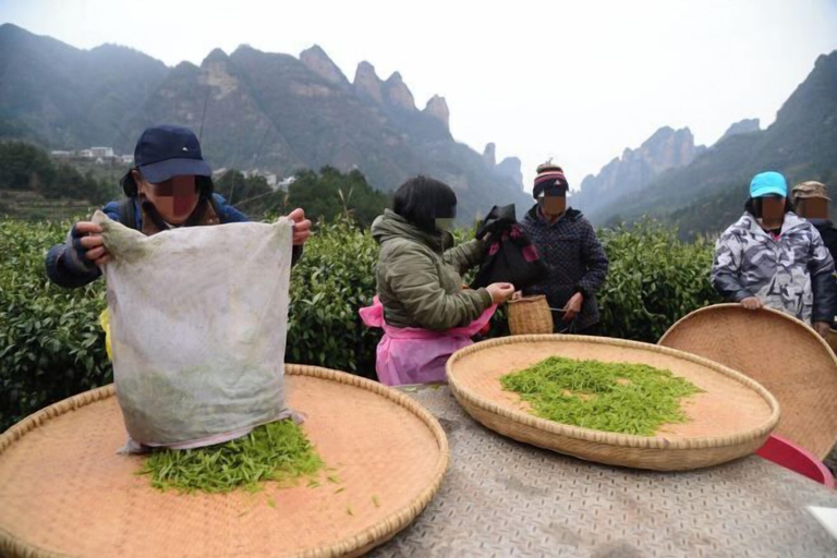 Food & Drinks 5, Just wait for you- English reception-Ticket reservation, Zhangjiajie