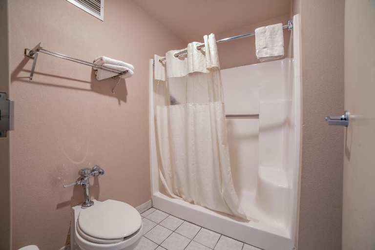 Bathroom 5, Mayfair Inn, Martin