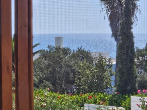 5, Mat Suites, South Aegean