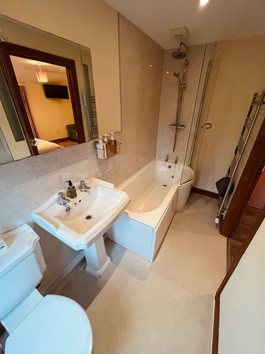 Bathroom 3, The Star Inn, Powys