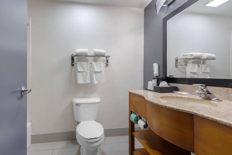 Bathroom 4, Quality Inn & Suites Edgefield, Edgefield