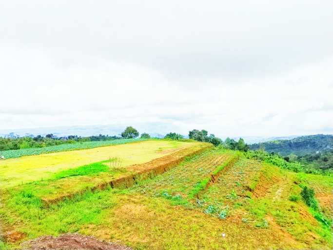 Others 5, Merlyn Meadows Retreat, Buleleng