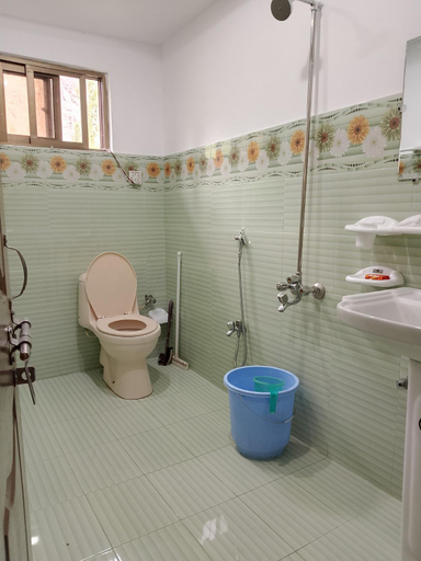 Bathroom 4, Ilyasin Guest House, Northern Areas