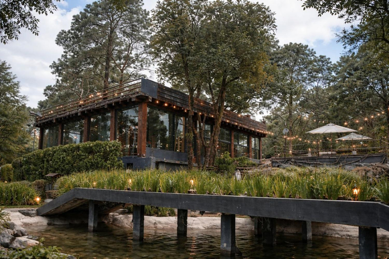 Exterior & Views 1, Organico Hotel Boutique, Mexico City