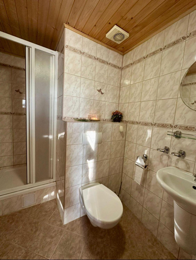 Bathroom, Penzion u Prihodu, Rakovník