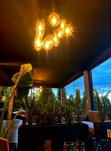 Food & Drinks 5, Organico Hotel Boutique, Mexico City