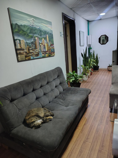 Others 5, Hotel Slow Montecarlo, Manizales